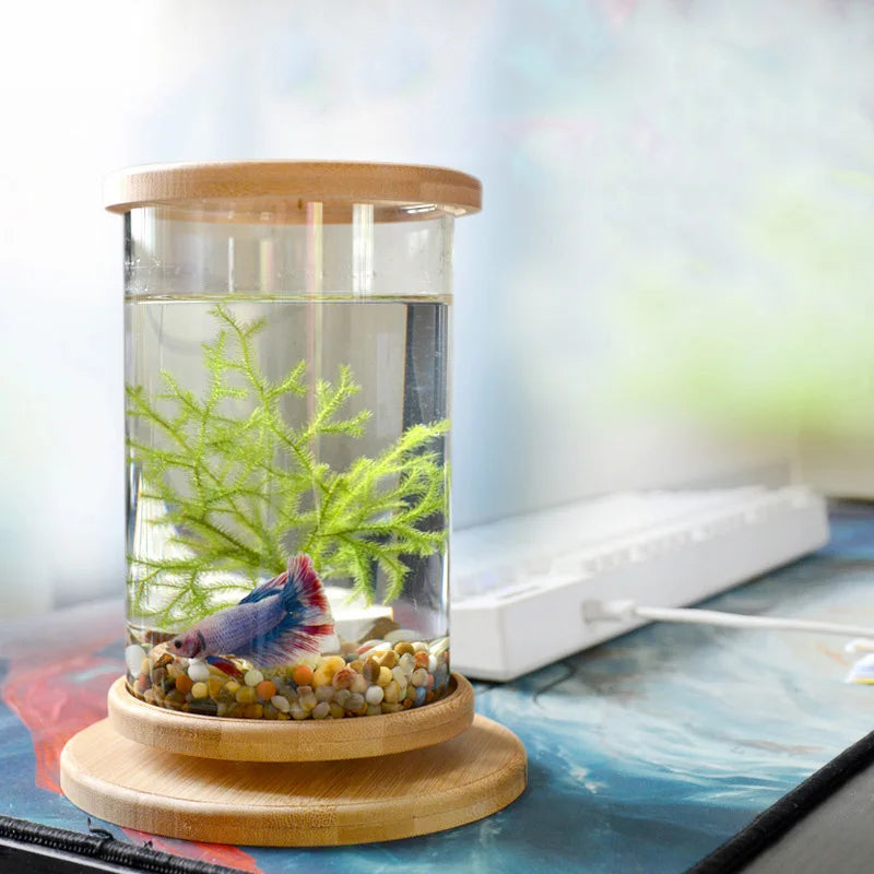 Mini Glass Fish Tank